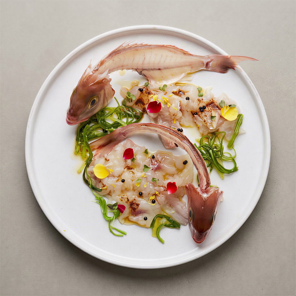 Fresh catch of the day